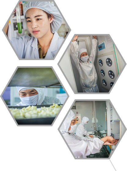 蒙古奶貝 蒙古奶貝